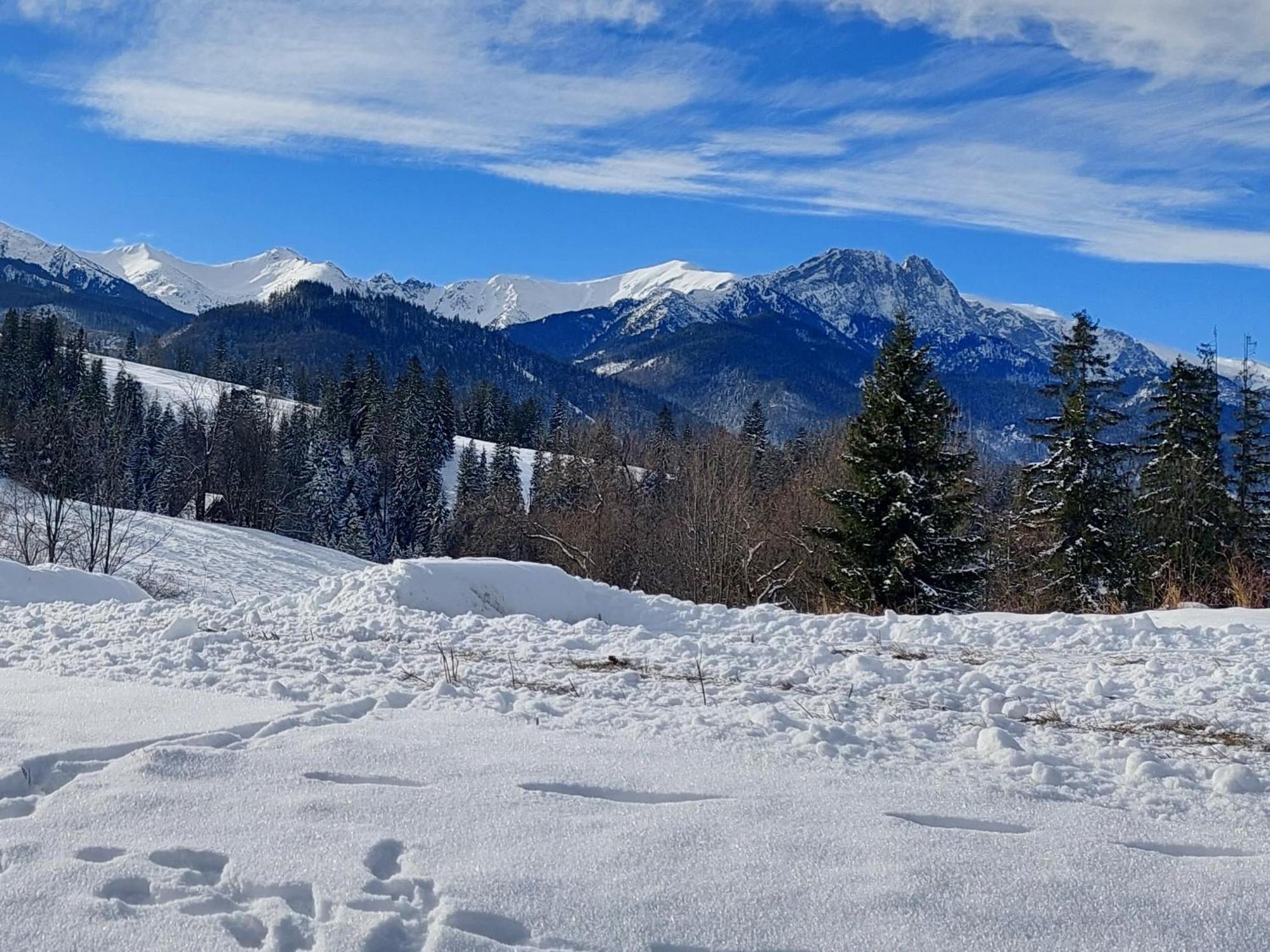 Tatrzanska Polana - Tatra Mountain View, Free Parking & Wifi — Zdjęcia 3